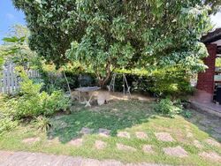 Picardy Gardens (D16), Semi-Detached #460925871